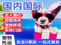牡丹江海浪航空快运国际宠物托运 【国